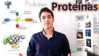 Proteínas y Aminoácidos UN MES DE CLASES EN 10 MINUTOS [upl. by Ishii]