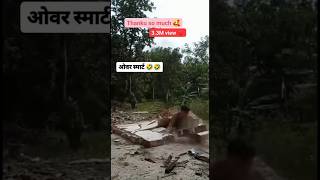 Daru pi ke Jata 😂😂 shortvideo funny comedyvideos viral video [upl. by Ianahs]