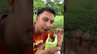 Pepinos locos 🇭🇳👋 humor comedia viral [upl. by Eirak]