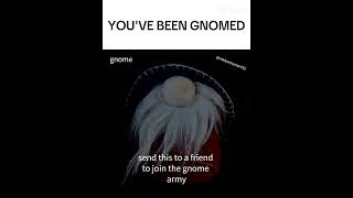 YOUVE BEEN GNOMED gnome gnomed funny memes [upl. by Yddur]