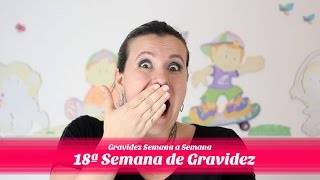 18ª Semana de gestação [upl. by Conrade]