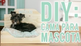 DIY  Cama de madera para mascotas [upl. by Neyugn]