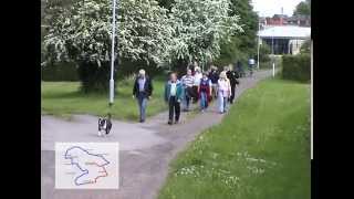 HQ OUTWOOD PARISH BOUNDARY WALK [upl. by Anib]