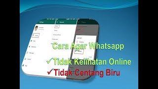 Cara Agar Whatsapp Tidak Terlihat Online [upl. by Elocim]