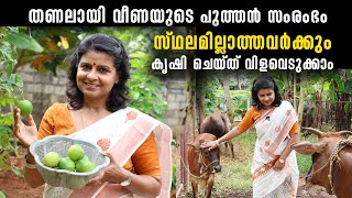 സ്ഥലമില്ലാത്തവർക്കും കൃഷി ചെയ്ത് വിളവെടുക്കാം തണലായി വീണയുടെ പുത്തൻ സംരംഭം  Organic Farming [upl. by Aderfla339]