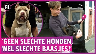 Is superpittbull levensgevaarlijk of zijn baasjes gek [upl. by Knorring]