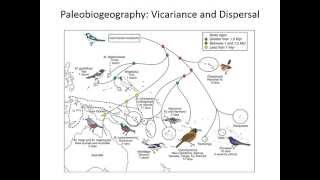 Biogeography vicariance and dispersal [upl. by Ramoh778]