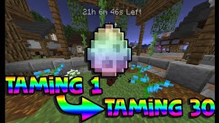 TOP 3 BEST WAYS TO INCREASE PET TAMING LEVELS IN CRAFTERSMC SKYBLOCK craftersmcskyblock hypixel [upl. by Lundgren]