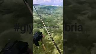 CAtching fish GT gianttuko lizardfish shorecastingphilippines calaguas fishing [upl. by Edlin919]