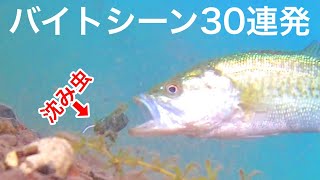 水中映像。カメラにルアーを付けてブラックバス釣りをやってみた【バス釣り】 [upl. by Atnamas]