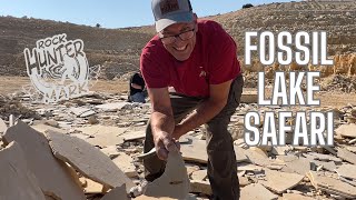 RARE fossil find on my 1st time at FOSSIL LAKE SAFARI [upl. by Ruvolo]