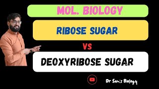 Ribose Sugar vs Deoxyribose SugarBiology Dr Sams Biologyl [upl. by Warram]