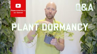 Plant Dormancy  why and how does it work [upl. by Drolyag]