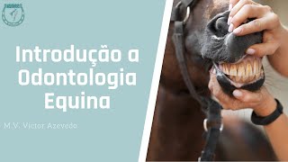 Introdução a odontologia equina [upl. by Amaral888]