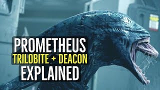 The Trilobite  Deacon PROMETHEUS Creatures Explained [upl. by Kitchen]