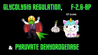 USMLE Step 1  Lesson 56  Glycolysis Regulation F26BP and Pyruvate Dehydrogenase [upl. by Aix826]