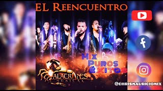 Alacranes musical mix ❌ 🦂🔥 Puros éxitos El reencuentro Dj Chris mauricio [upl. by Greenes]