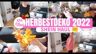 HERBSTDEKO 2022 amp HAUL 🍁🍂 SHEIN HAUL PLUS SIZE Dekorier mit mir Fräulein Jasmin [upl. by Slein]