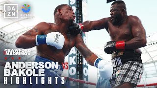 FIGHT HIGHLIGHTS  Riyadh Season Card Jared Anderson vs Martin Bakole [upl. by Notelrahc873]