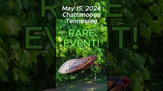 004  Rare Event Chattanooga Tennessee  Pop Up Road CBT [upl. by Audrie]