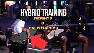 Hybrid Training Push Workout  Calisthenics amp Weights [upl. by Siger]