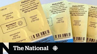 COVID19 antiviral drug Paxlovid going unused in Canada [upl. by Aynotan]