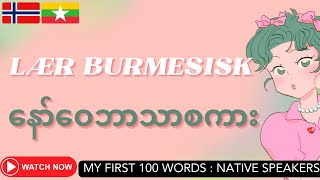 နော်ဝေ နော်ဝေလေ့လာရန် Burmesisk Lær burmesisk BurmeseNorwegian Lesson My First 100 Words [upl. by Jallier779]