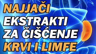 MOĆNI EKSTRAKTI ZA ČIŠĆENJE SLEZENE KRVI LIMFE Dr Mihajlović [upl. by Bartlett]