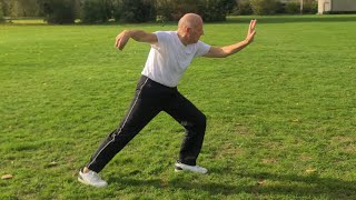 Yang Tai Chi 108 Form 楊氏太極拳 Tai Chi Apeldoorn He Yong Gan [upl. by Noakes8]