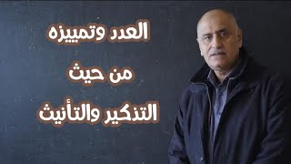 شرح العدد وتمييزه من حيث التذكير والتأنيث [upl. by Seligmann946]