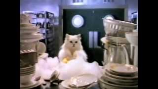 Gourmet Cat Food Commercial NZ [upl. by Searby]