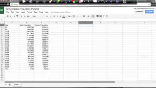 How to Create a Population Pyramid With Google Spreadsheet [upl. by Budge]