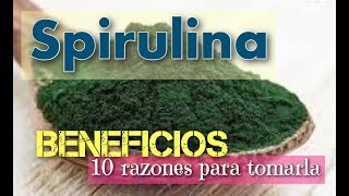 ▶︎▶︎ SPIRULINA Beneficios ⭐️ 10 RAZONES PROBADAS para usar este superalimento [upl. by Gunnar]