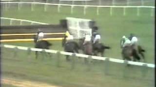 Horse Racing 1973 Cheltenham Gold Cup Pendil and The Dikler [upl. by Nachison]