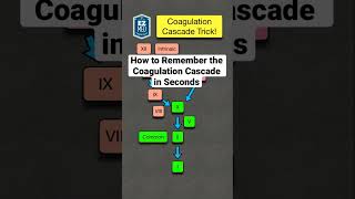 How to Remember the Coagulation Cascade in Seconds Pathway Made Easy [upl. by Chic908]