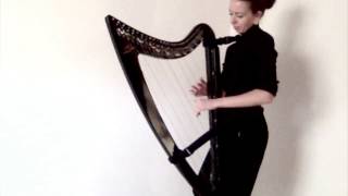 The Nightingale  D HensonConant EHarfe  Eharp [upl. by Ila]