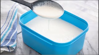 How to Make Yogurt From Scratch With Just 3 Ingredients  BONUS BREAKFAST RECIPE  ZEELICIOUS FOODS [upl. by Cynde]