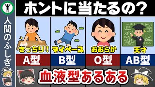 【血液型あるある】科学者が1万人を調べて分かった衝撃的な事実とは？【ゆっくり解説】 [upl. by Kursh822]