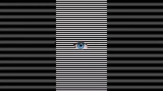 Monochrome Hypnosis A Mesmerizing Black and White Illusion illustration trippy shortss [upl. by Euginimod411]