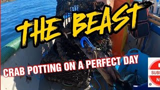 MASSIVE BEAST IN CRAB POTS ON A PERFECT DAY viral [upl. by Derej]