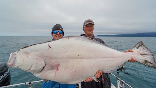 GIANT Alaskan Halibut Catch Clean Cook [upl. by Maris920]