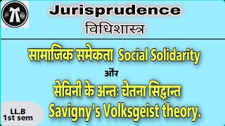 सामाजिक समेकता Social Solidarity सैविनी के अन्तः चेतना सिद्धान्त Savignys Volksgeist theory [upl. by Leasim]