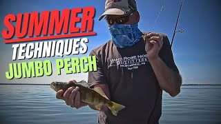 Fishing For Jumbo Perch  Summer Techniques [upl. by Eckblad]