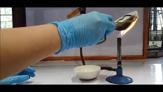 TUPM Dept of Chemistry Virtual Lab  Bunsen Burner [upl. by Deina]