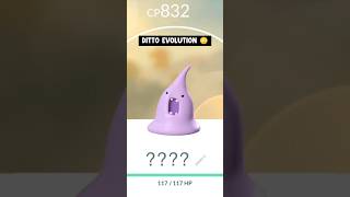 If ditto evolves in pokemon go [upl. by Yankee861]