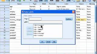 Spearman Correlation  SPSS part 1 [upl. by Nelac]