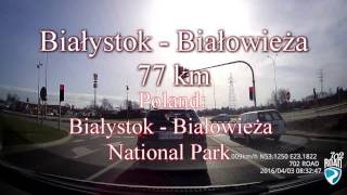 Trasa Białystok  Białowieża [upl. by Lampert656]