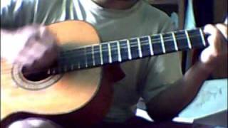 Moscas en la Casa  shakira  cover guitarra [upl. by Adnilym]