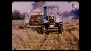 Getreideernte 1960 in der Lüneburger Heide  Historischer Film  Claas Mähdrescher Bulldog  Pferde [upl. by Layne]