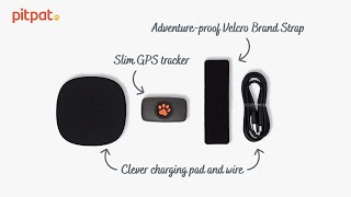 Unboxing the PitPat Dog GPS Tracker [upl. by Adolf]